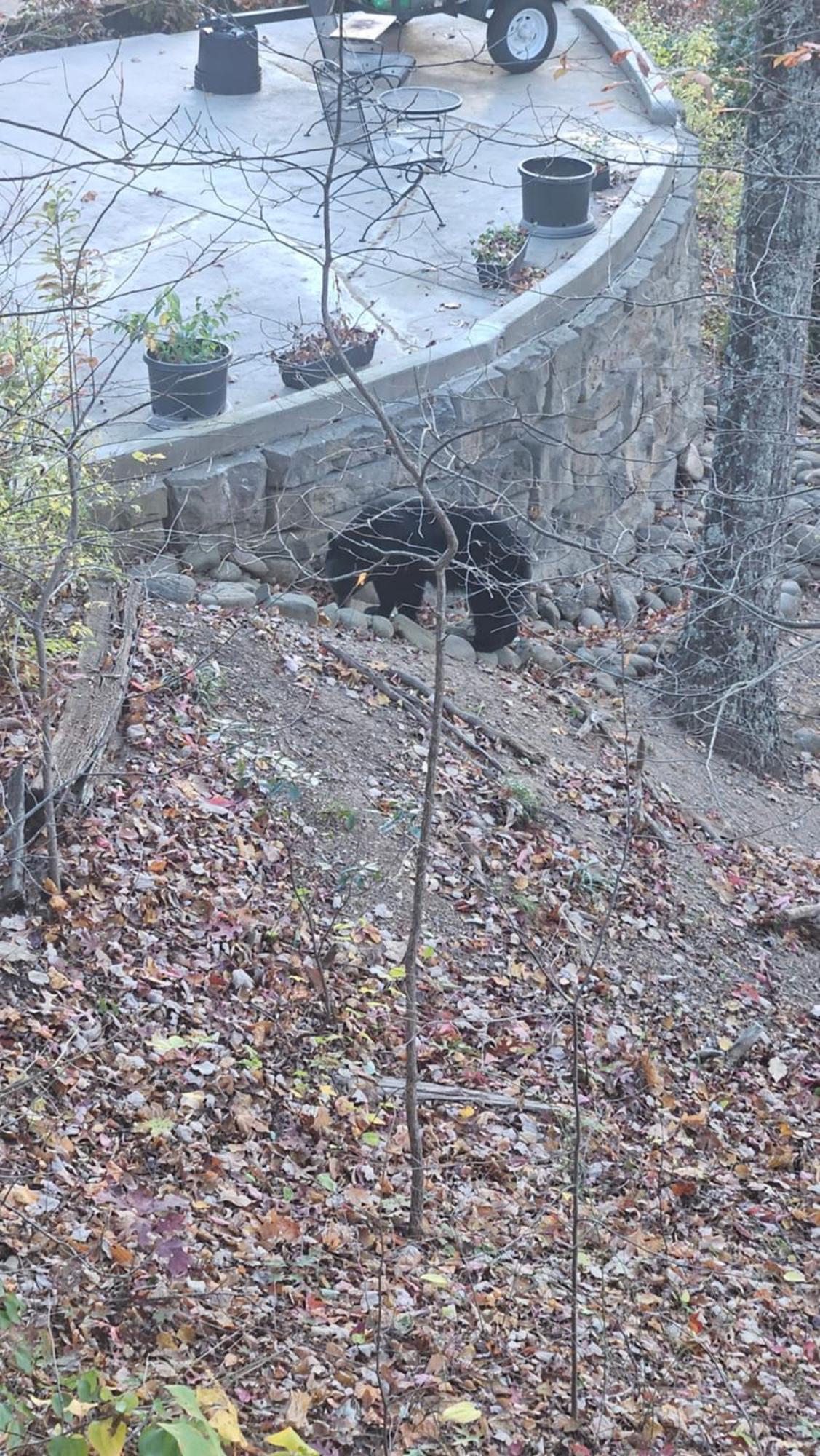 Southern Oak At Chalet Village - 5 Minutes From Gatlinburg And National Park Exterior photo